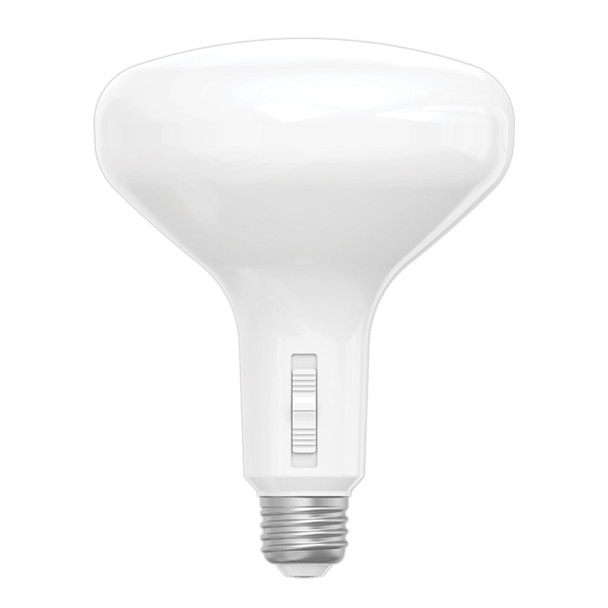 RAB-BR40-21-9CCT-DIM-image-01