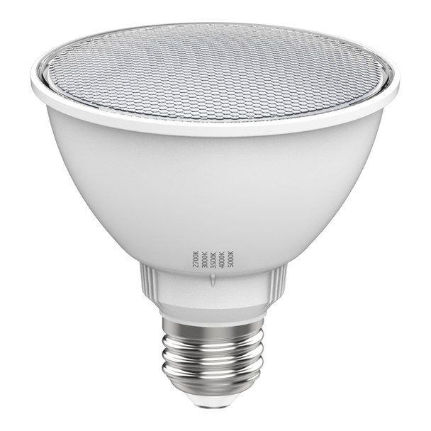 RAB-PAR30SFA-11-9CCT-40D-DIM-image-01