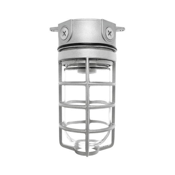 RAB Vaporproof - 150W Max - 120V - Ceiling Mount | LED or Incandescent Lamp Ready - LED Outdoor Fixture