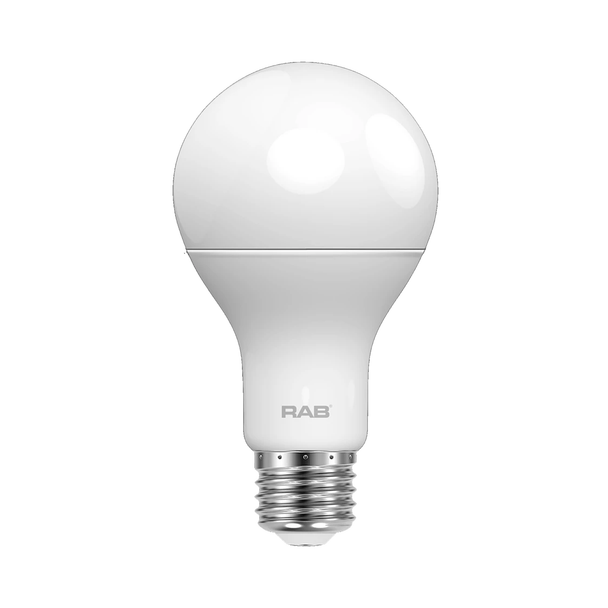 RAB LED A21 Lamp - 16 Watt - 3000K - 120 Volt | Replaces 100 Watt Incandescent - 1,600 Lumens - Non-Dimmable - Medium Base - A21-16-E26-830-ND