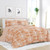 Twin 2 Piece Clay and White Reversible Daisy Medallion Striped Comforter Set Q280-TWCL4299