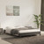  Bed Frame without Mattress Dark Gray 59.8"x79.9" Queen Velvet A949-347010