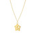 Cutout Star Necklace in 14K Yellow Gold P150-29465-18
