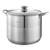 Stainless Steel Stock Pot, 16-Quart Stainless Steel Stockpot with Glass Lid, PFOA-Free, PFAS-Free,  E415-JTTG16QTBXGL9LHNF001V0