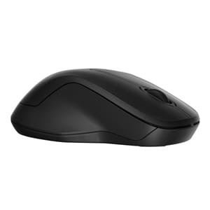 HP 255 Dual Wireless Mouse P595-8R3U1UT