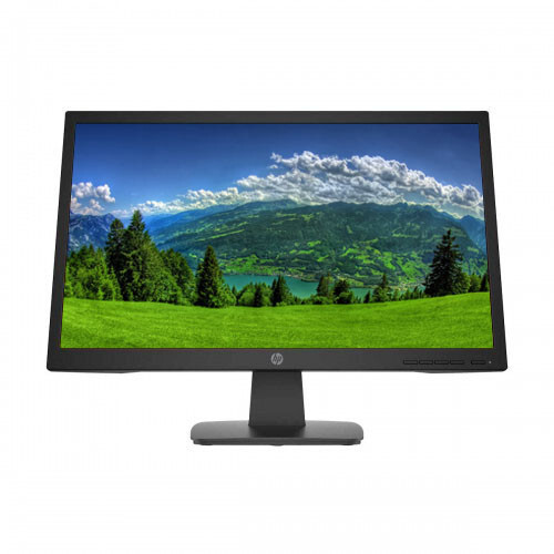 HP P22v G4 - P-Series - LED monitor - Full HD (1080p) - NO STAND