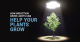 How Induction Grow Lights Can Help Your Plants, You Know, Grow