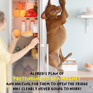 Dog Themed Greetings Card Pretend Magnet Dog Themed Greetings Card Pretend Magnet
