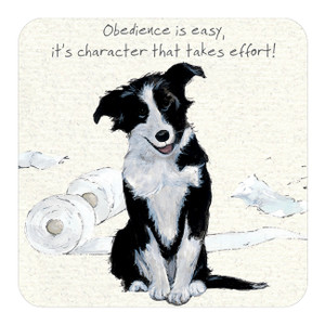 Border Collie Dog Coaster - Obedience
