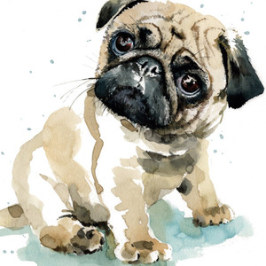 Puppy Dog Eyes Greetings Card - Pug Pixie