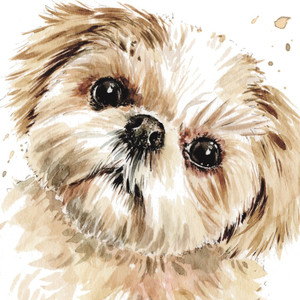 Puppy Dog Eyes Greetings Card - Shih Tzu Smudge