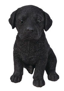 Vivid Arts Pet Pal - Black Labrador Dog Ornament Figurine Vivid Arts Pet Pal - Black Labrador Dog Ornament Figurine