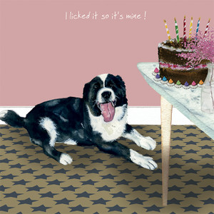 Border Collie Greetings Card - Little Dog Border Collie Greetings Card - Little Dog