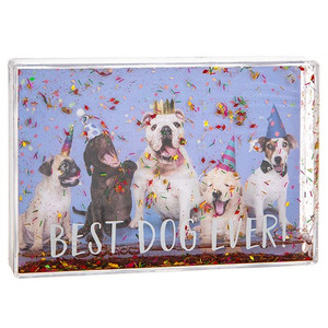 Glitzy Fun Photo Frame - Best Dog Glitzy Fun Photo Frame - Best Dog