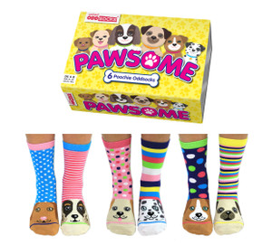 Novelty Socks Box - Pawsome Novelty Socks Box - Pawsome