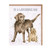Wrendale Greetings Card - Wonderful Dad Labrador
