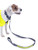 Reflective Flashing Yellow Dog Lead