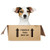 Jack Russell Surprise Gift Box for Dog Lovers