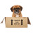 Pug Surprise Gift Box for Dog Lovers