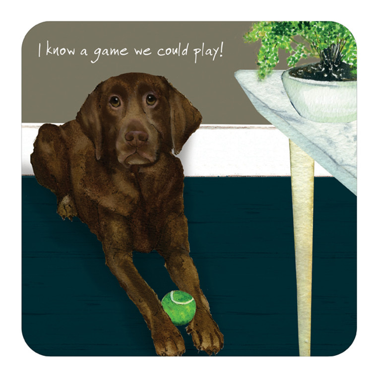 Chocolate Labrador Dog Coaster - I Know