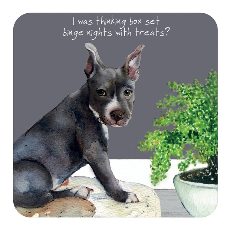 Staffordshire Bull Terrier Dog Coaster - Box Set
