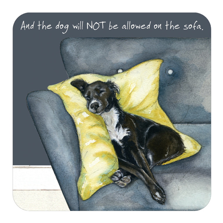 Dog Coaster - Not on Sofa