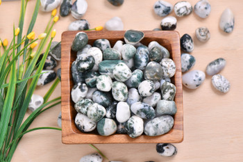 1 Tree Agate Tumbled Healing stone