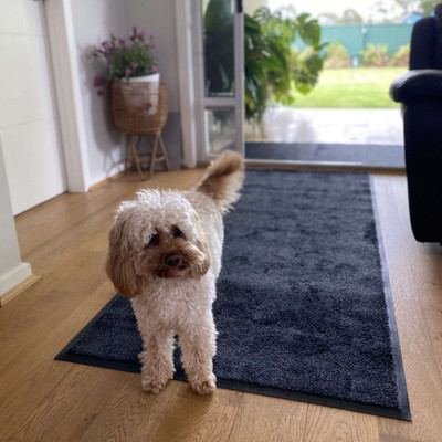 Messy Paws Absorbent Pet Dish Mat