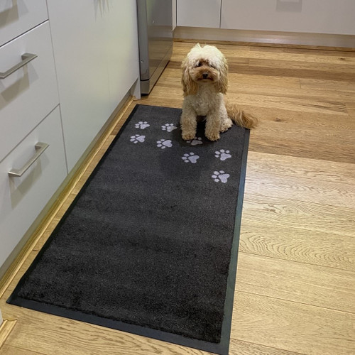 Image of Cavoodle on Paw Print mat shown in kitchen at sink