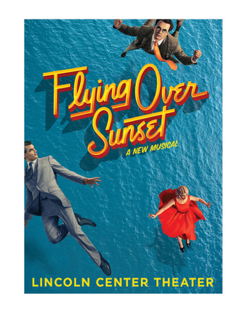 Flying Over Sunset Magnet Image