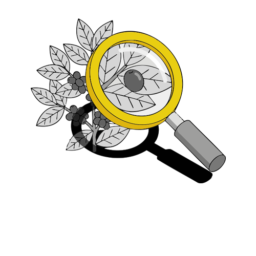 Coffee Shop Products