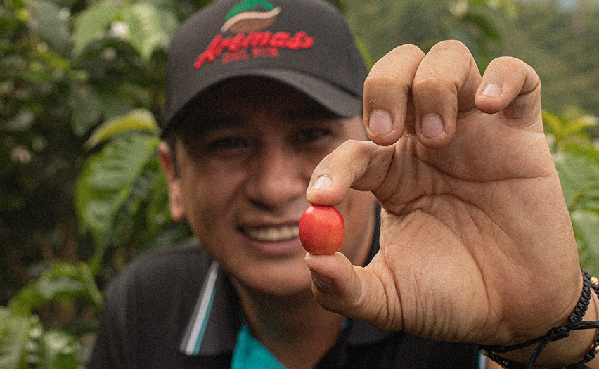 Rodrigo Image Placeholder