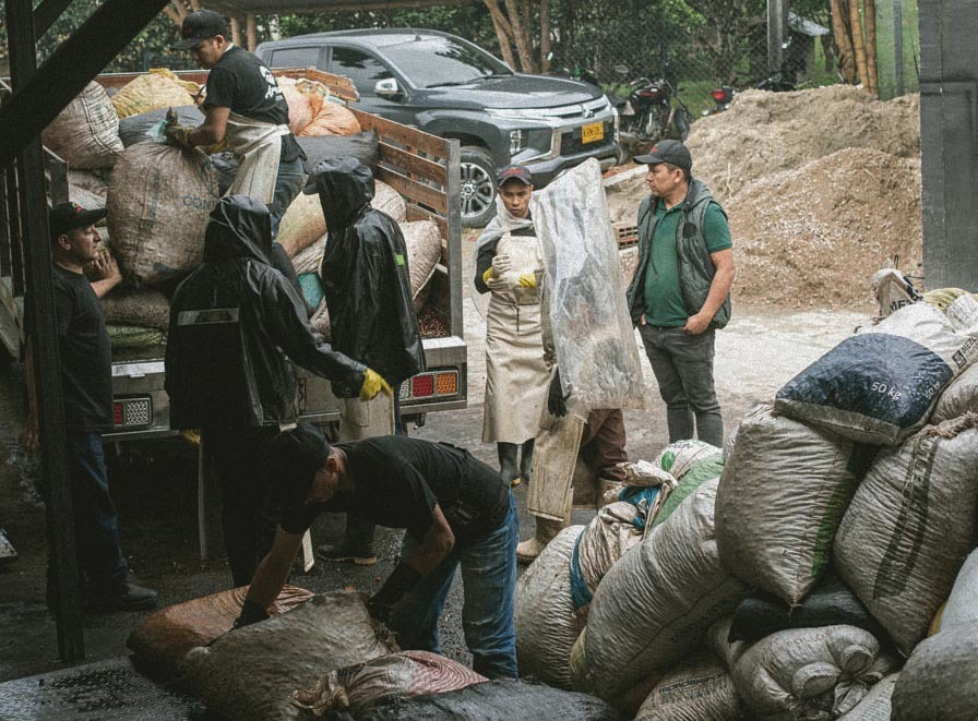 Rodrigo Image Placeholder