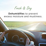 Car Air Purifying Bag