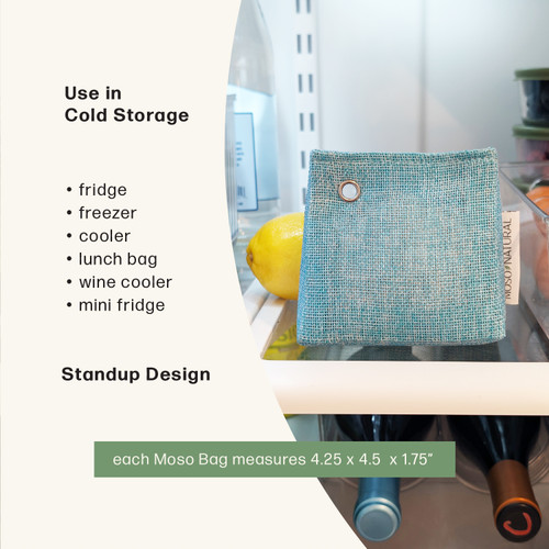 Refrigerator Odor Eliminator, Standup