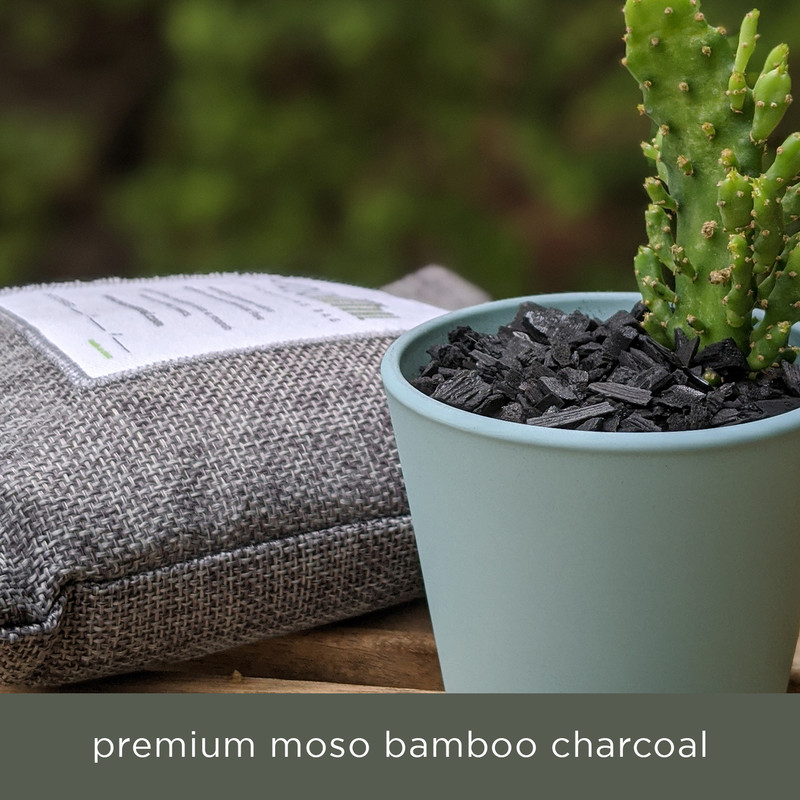  5 Pack Bamboo Charcoal Air Purifying Bags with Hooks,Charcoal  Bags Odor Absorber for Home,Odor Eliminator,Closet Deodorizer, Car Air  Freshener(5 Pack, 200g Each) : Health & Household
