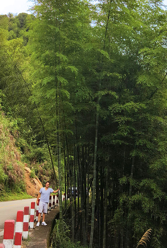 Eric Rubin in a bamboo forest in Fujian