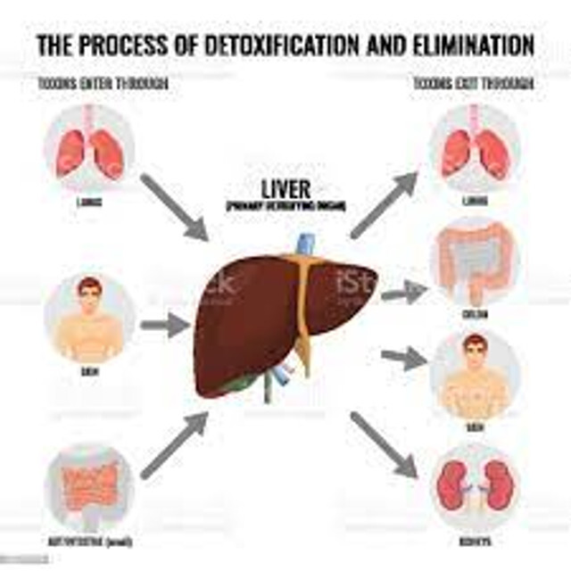 detox-and-ellim-98876.jpg
