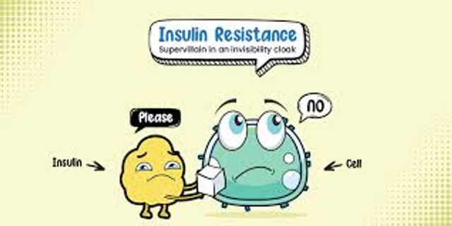 insulin-intro.jpg