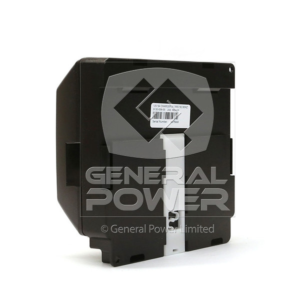 PHOTO Deep Sea DSE9130 Battery Charger PHOTO Deep Sea DSE9130 Battery Charger