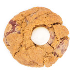 vegan dairy free gluten free gingerbread cookie