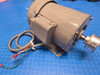 Fuji Electric 200w 4p 220/200V 1.1A 1725/1710rpm Electric Motor MLH8065M