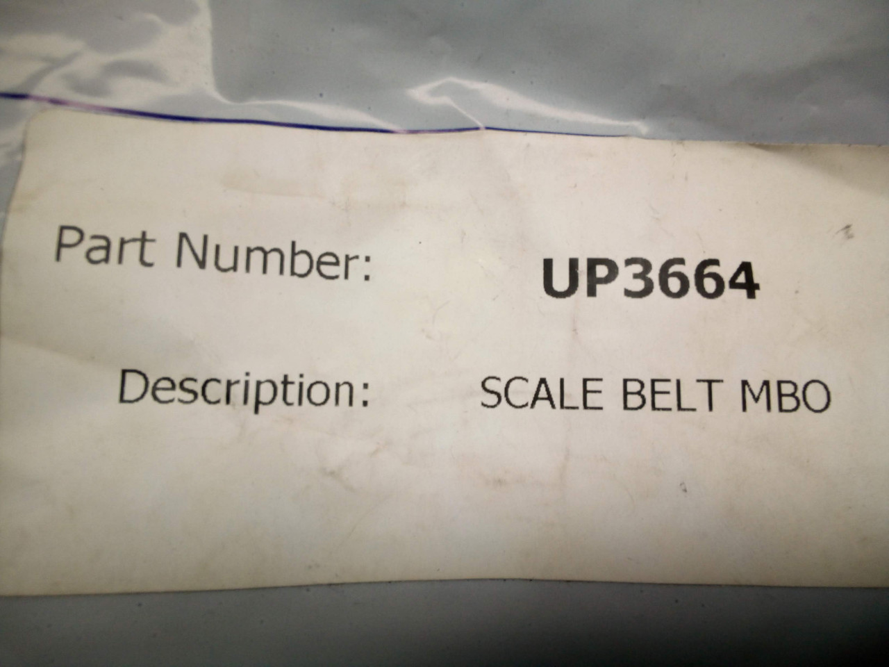 MBO Scale Belt - P02-000703