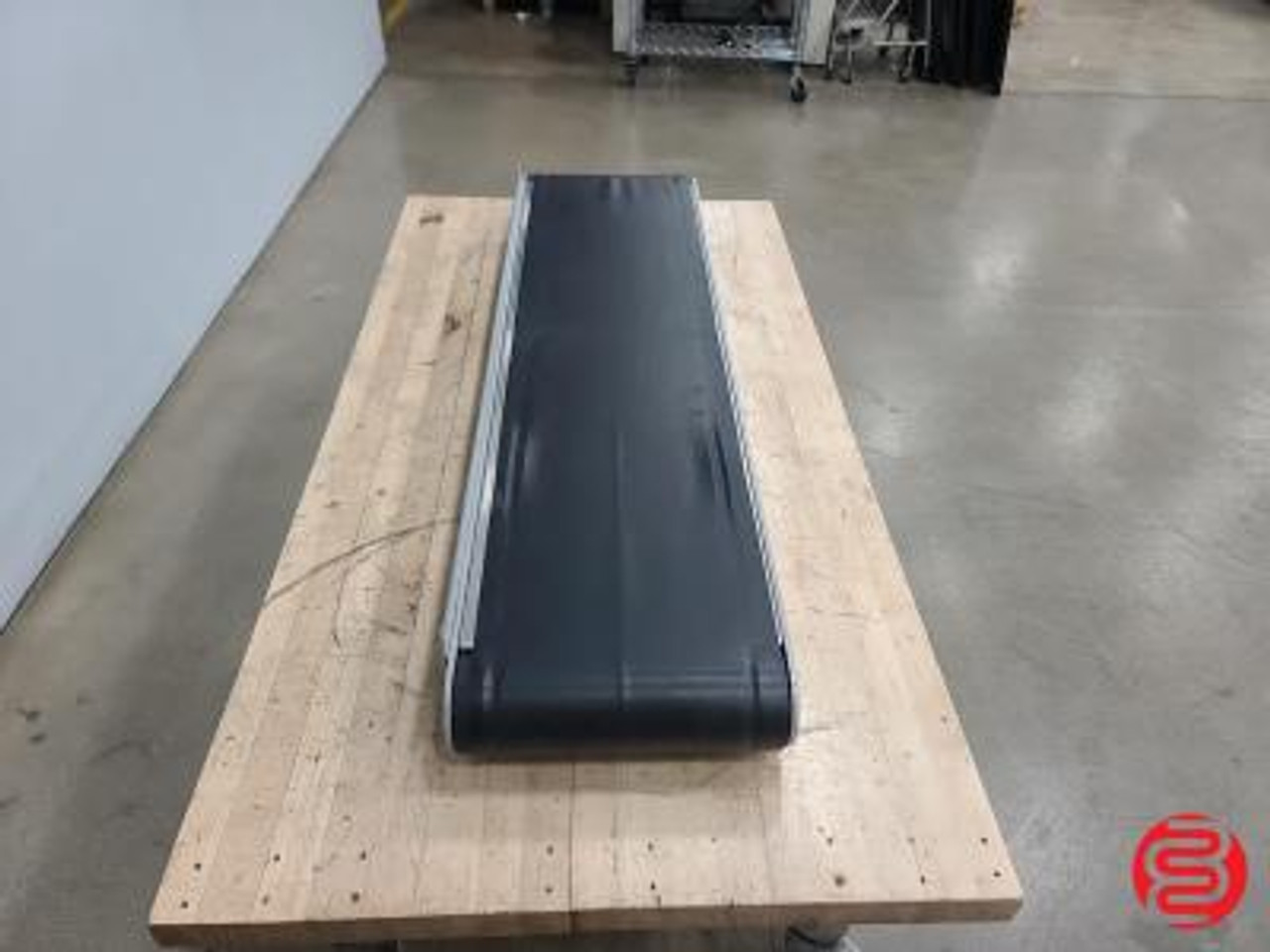 Pitney Bowes Model Y380 Electric Delivery Conveyor