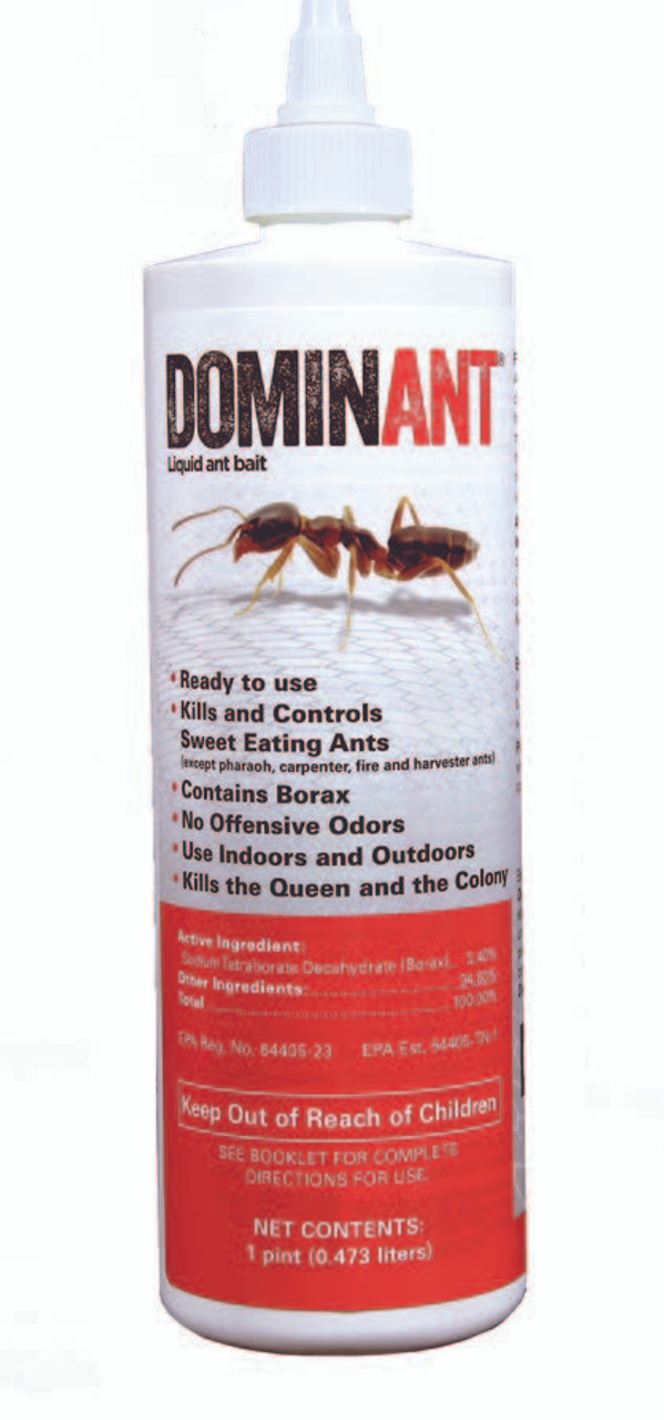 DominAnt® Liquid Ant Bait  16 oz