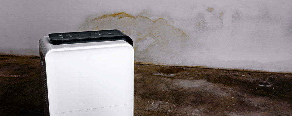How a Crawlspace Dehumidifier Transforms Crawlspace Health for Homeowners