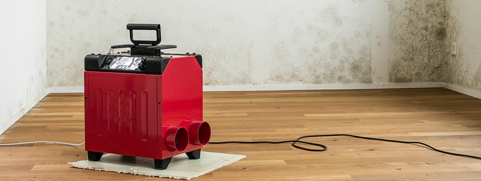 Fixing High Humidity in Crawlspaces: Step-by-Step Guide.