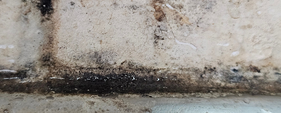 Mold Inspection Checklist