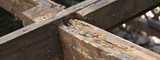 Dry Rot vs. Wet Rot: Identifying Subfloor Wood Decay Before Installing Secondary Supports