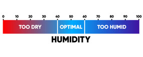 Effective Strategies to Lower Humidity in Crawl Spaces